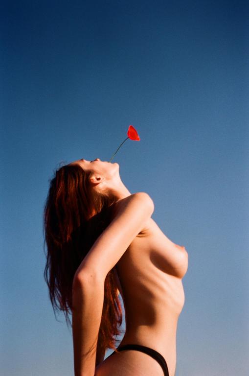 A woman with long red hair holds a red flower in her mouth, looking up at a clear blue sky.