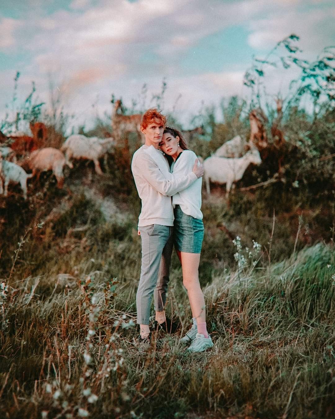 A couple embraces in a field with goats in the background.