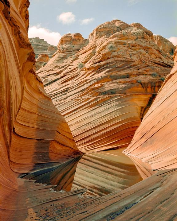 A pool of water reflects the wavy sandstone formations of a canyon.