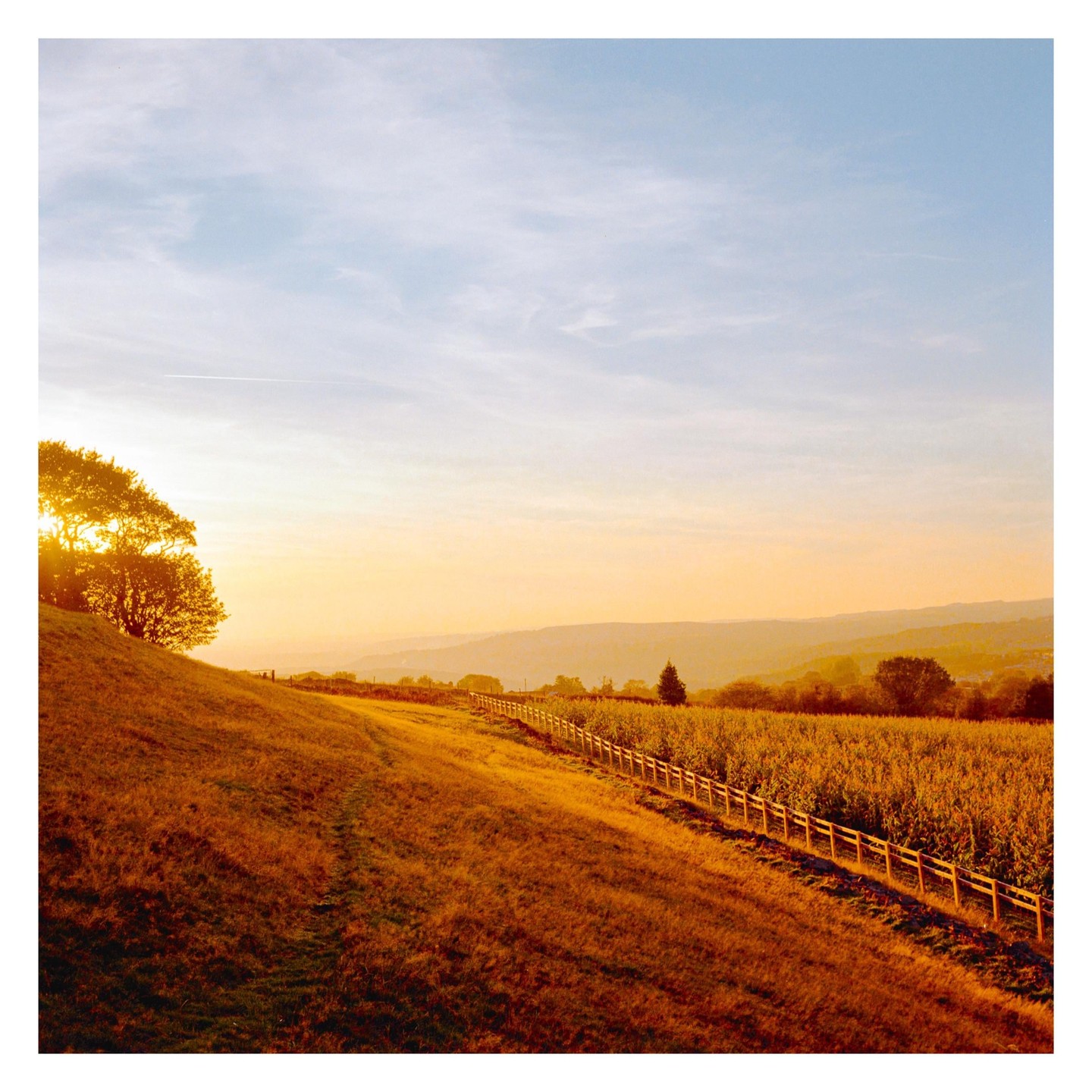 The sun sets over a field with a fence and trees on a hill.