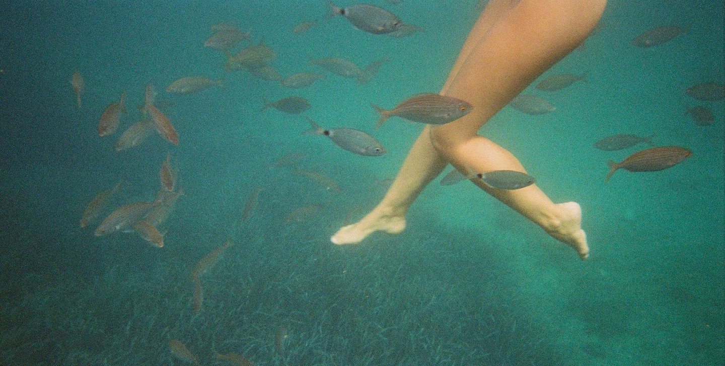 A person's legs are visible underwater surrounded by many small fish.