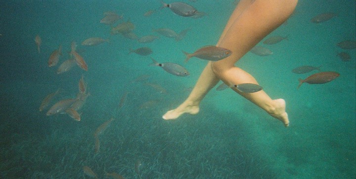 A person's legs are visible underwater surrounded by many small fish.