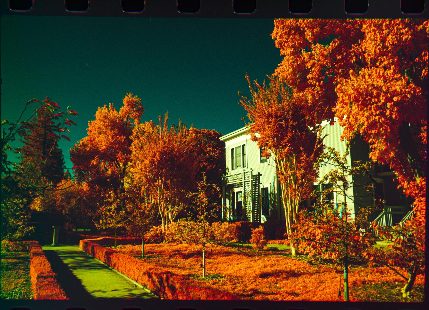 A house is surrounded by trees with orange foliage and a green lawn with a path.
