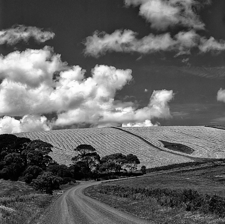 A winding dirt road leads through a rural landscape with rolling hills, trees, and a cloudy sky.