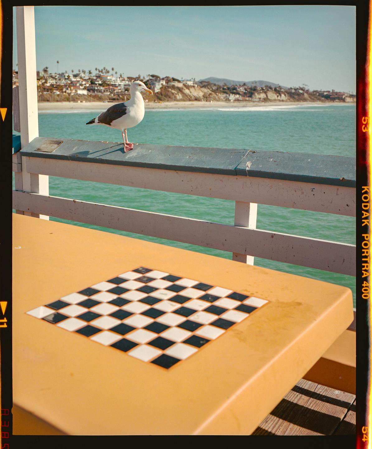 A seagull stands on a pier railing overlooking the ocean with a checkerboard table in the foreground.