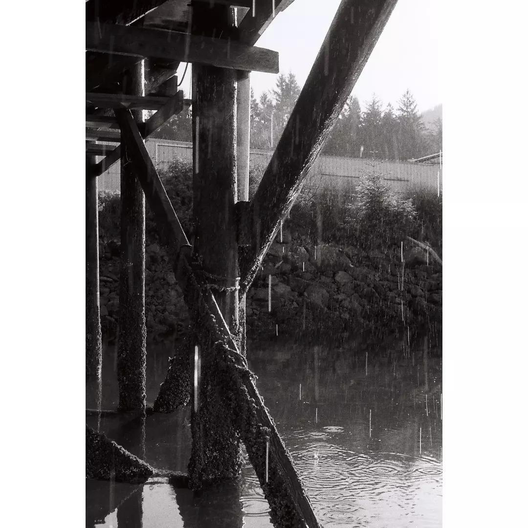 Rain falls on the water and wooden pilings under a pier.