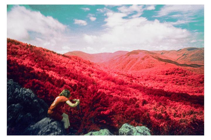 A woman in a red shirt is crouched on a rock, photographing a landscape of red trees and mountains under a blue sky with clouds.