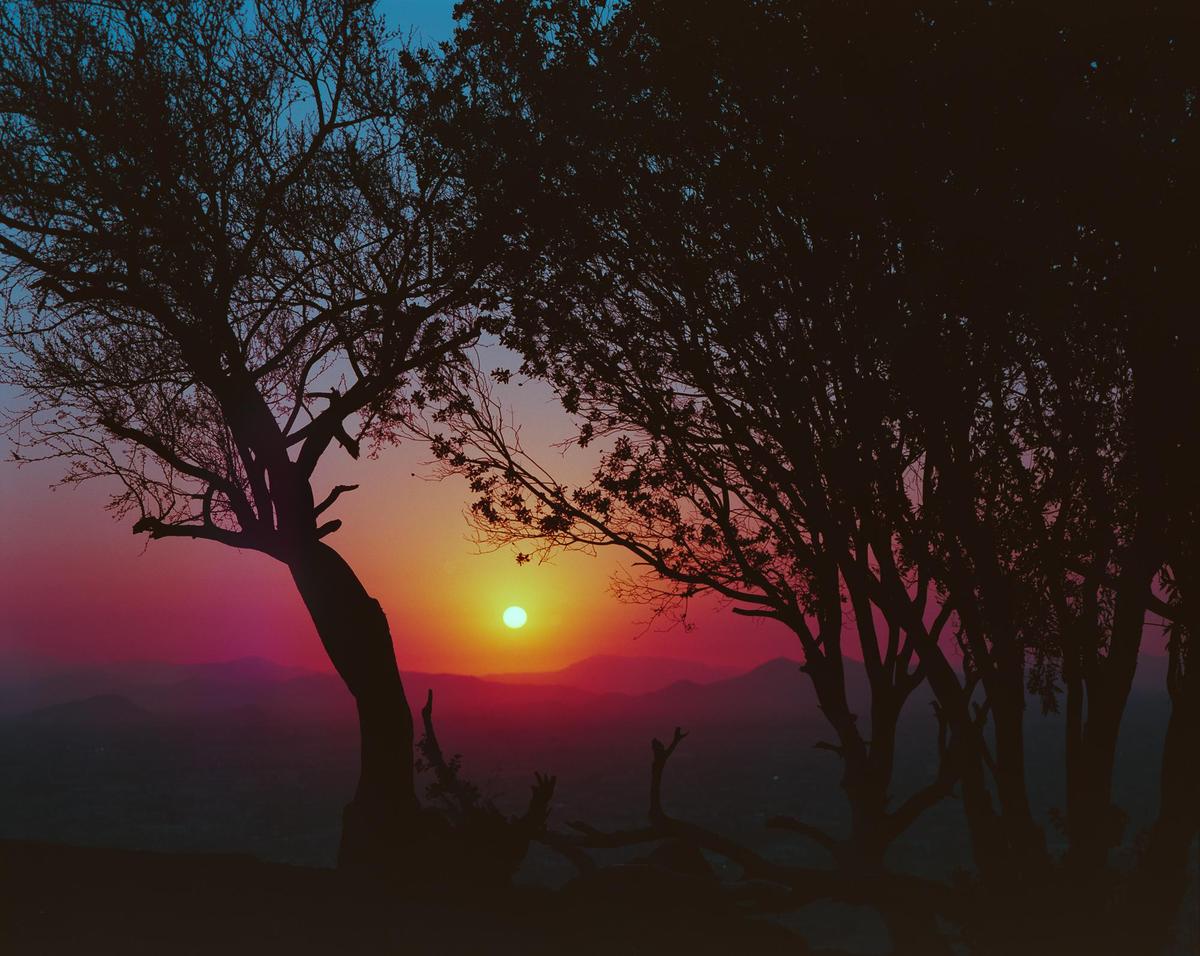 The sun sets behind silhouetted trees and mountains, casting a vibrant red and orange glow across the sky.