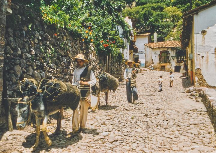 Two men with donkeys laden with baskets walk up a cobblestone street in a village with white buildings and lush green foliage.