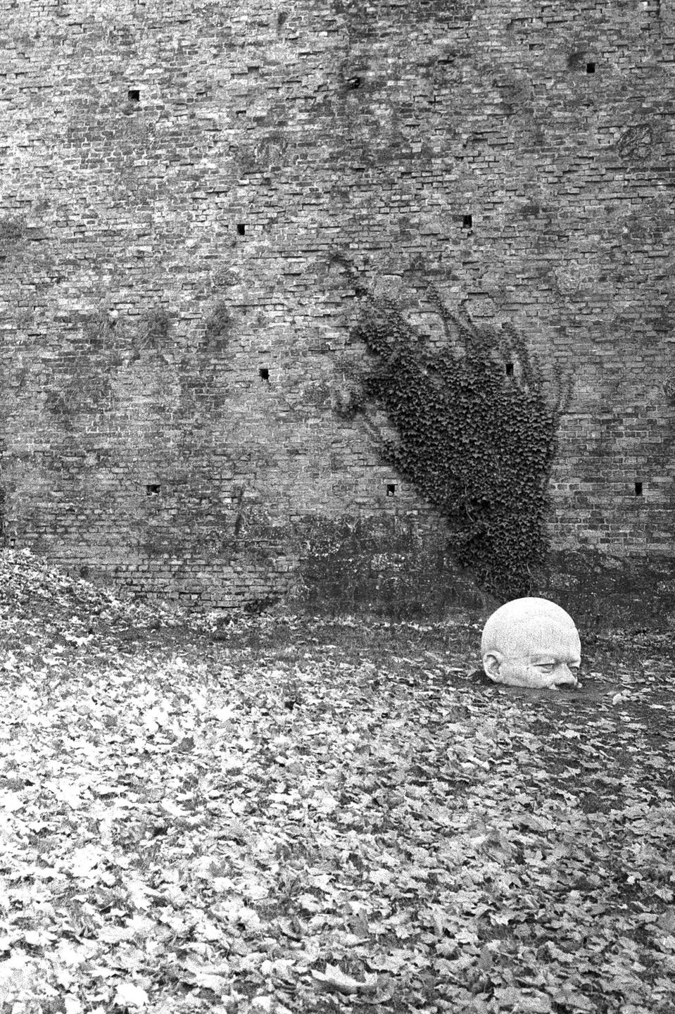 A large head sculpture is partially buried in a ground covered with leaves next to a brick wall with ivy.