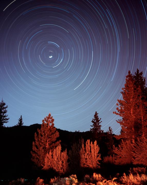 Star trails arc across the night sky above a forest with trees and bushes illuminated by a red light.