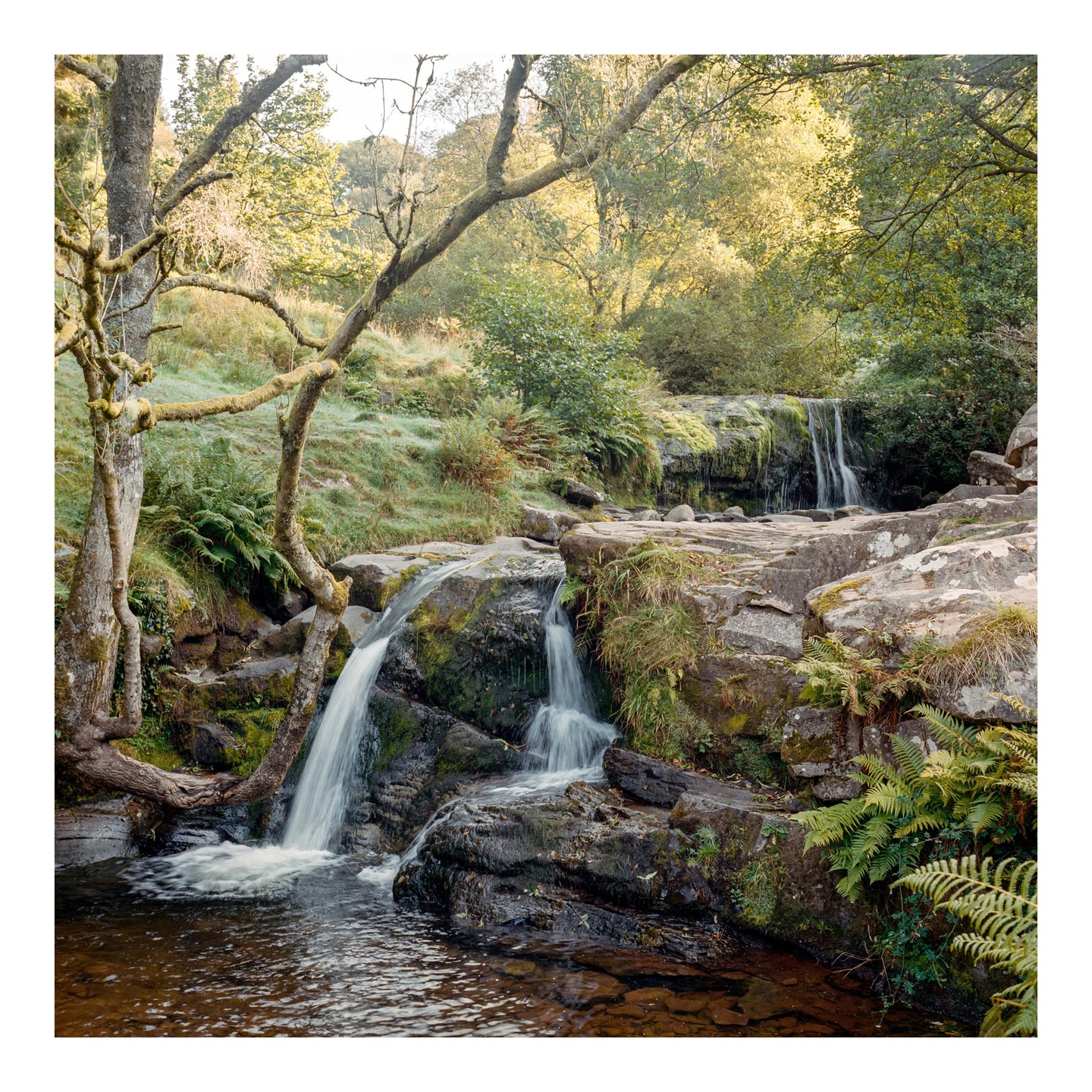 A waterfall cascades over mossy rocks into a pool surrounded by lush green foliage and trees.
