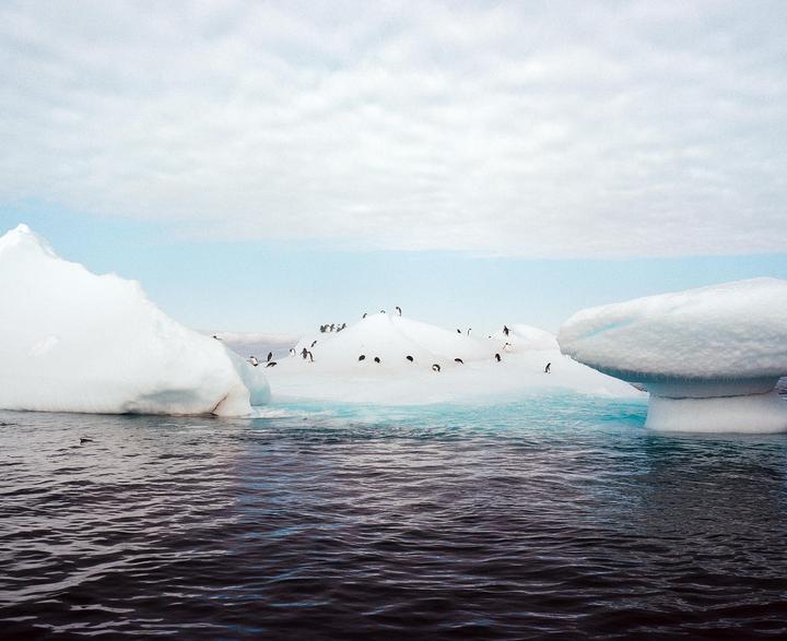 A group of penguins stands on a large iceberg floating in dark water under a cloudy sky.