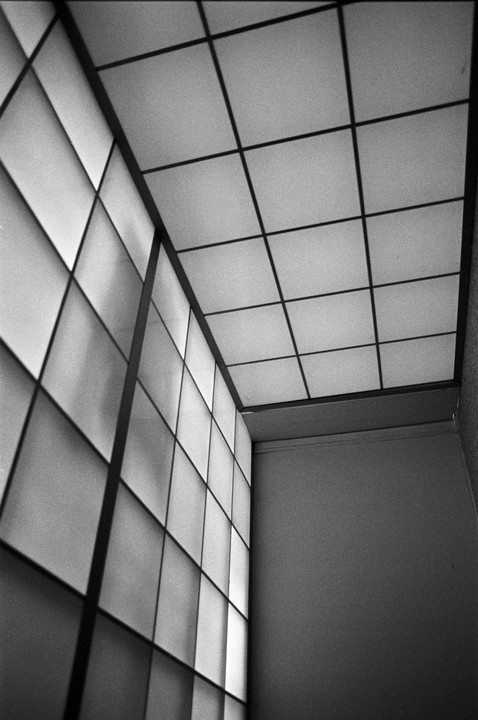 A grid of square windows on a wall and ceiling creates a geometric pattern.