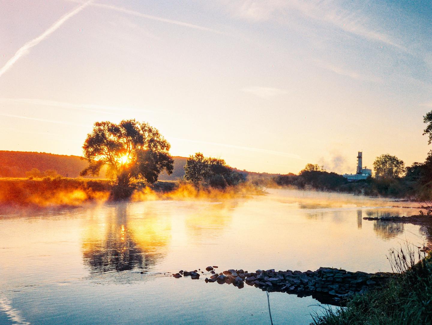 A misty river at sunrise with a tree silhouetted against the bright sky and an industrial building in the distance.
