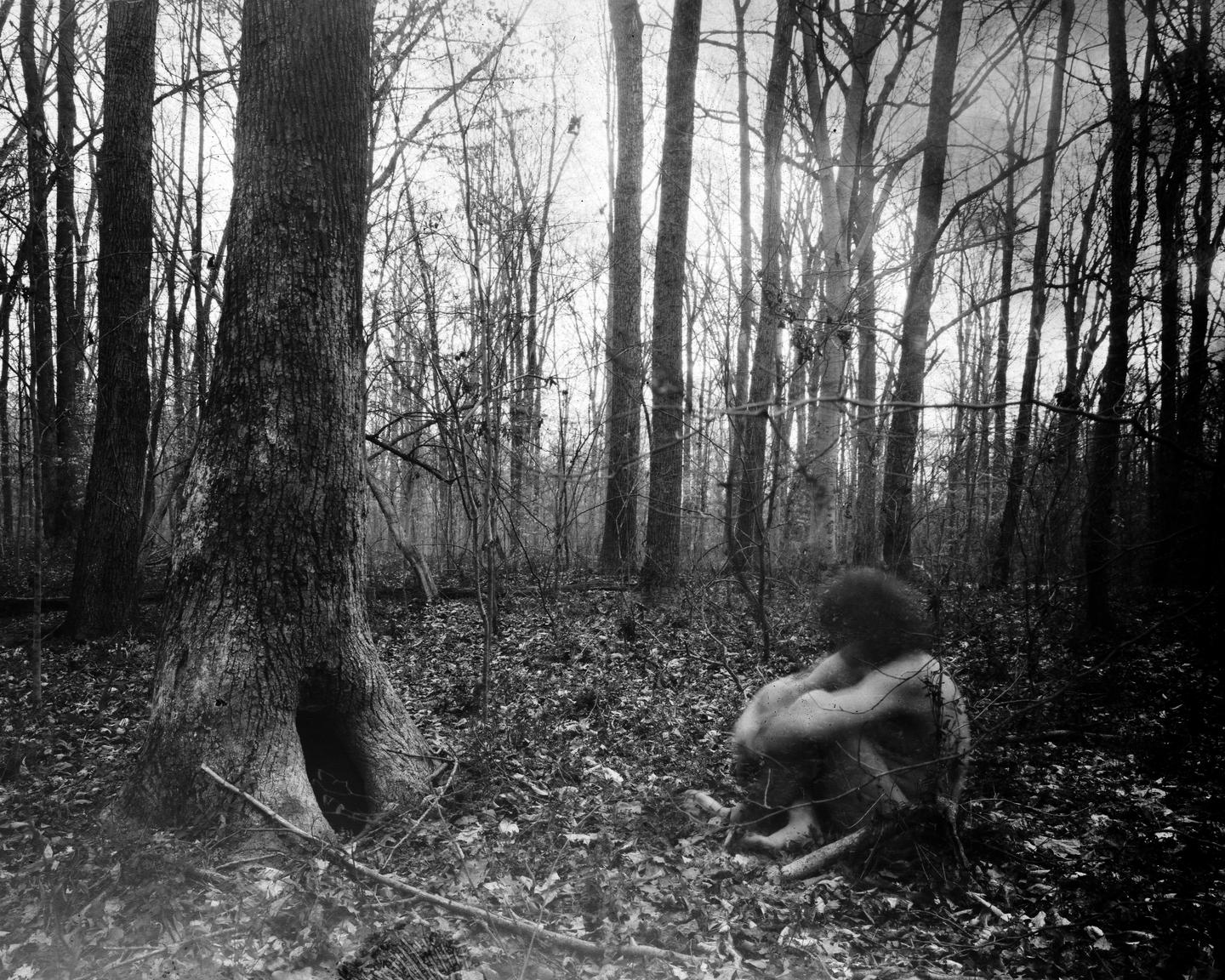 A person with curly hair sits on the ground in a forest of bare trees.