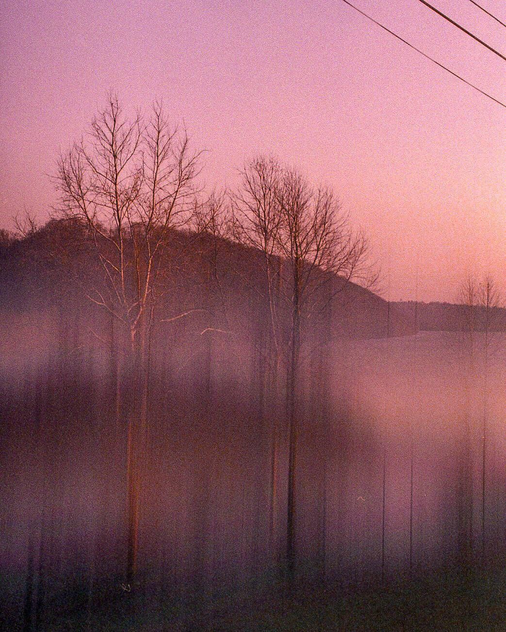 Bare trees stand in a hazy landscape with a pink sky over the Ohio River.