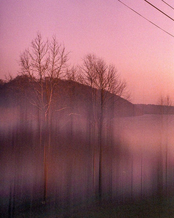 Bare trees stand in a hazy landscape with a pink sky over the Ohio River.