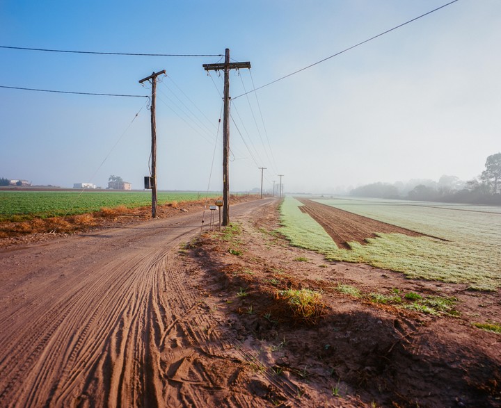 A dirt road with telephone poles runs alongside a field of green crops under a hazy sky.