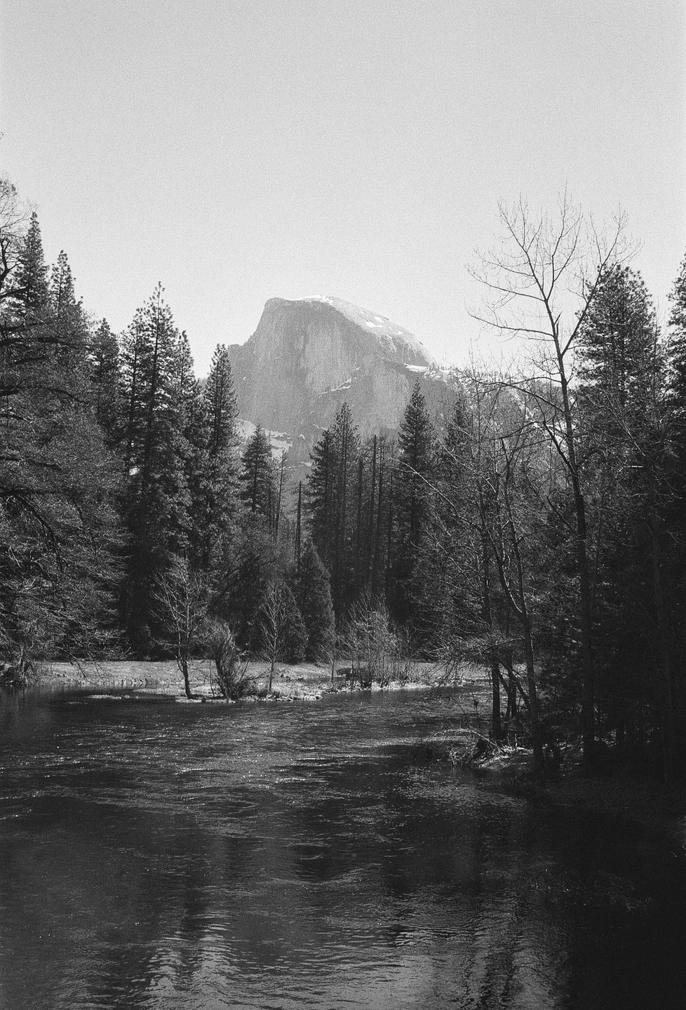 A river flows through a forest with a large mountain in the background.