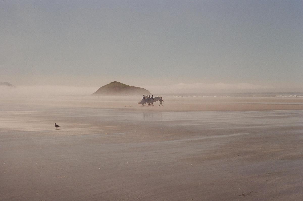A group of surfers walk on a hazy beach with a seagull in the foreground and a small island in the background.