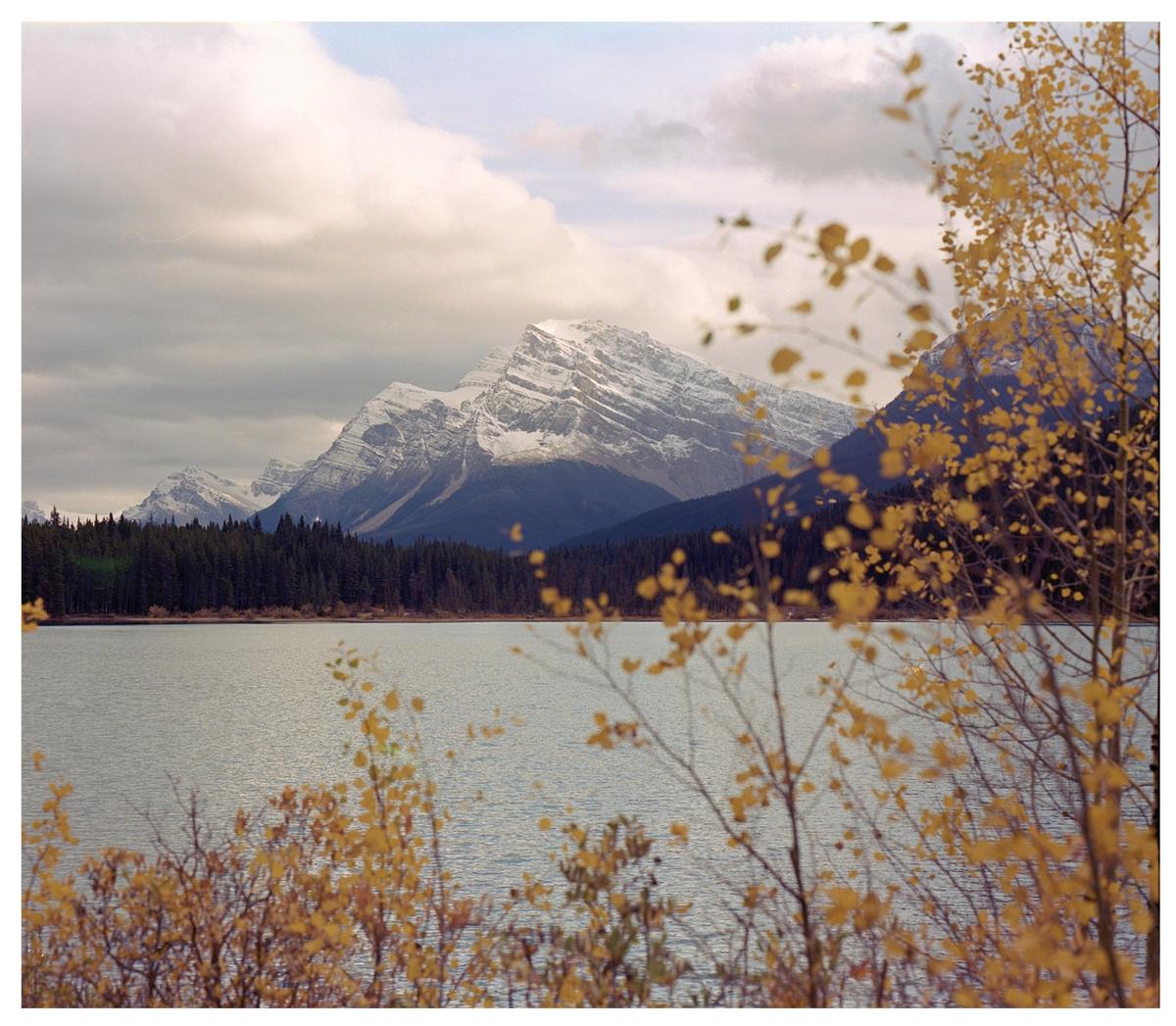 A lake is in the foreground with a forest and snow-capped mountains in the background under a cloudy sky.