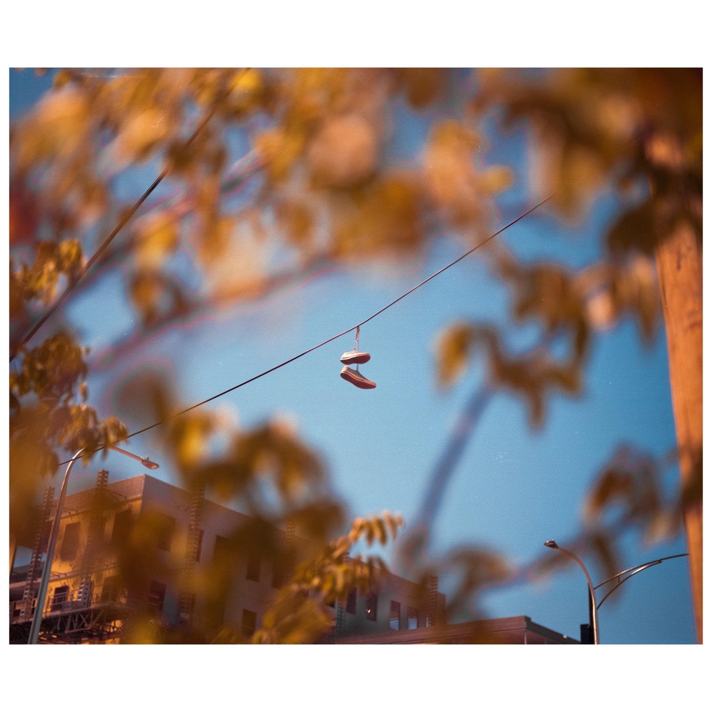 A pair of shoes hangs from a wire above a street with buildings and trees.