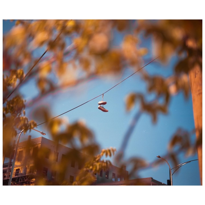 A pair of shoes hangs from a wire above a street with buildings and trees.