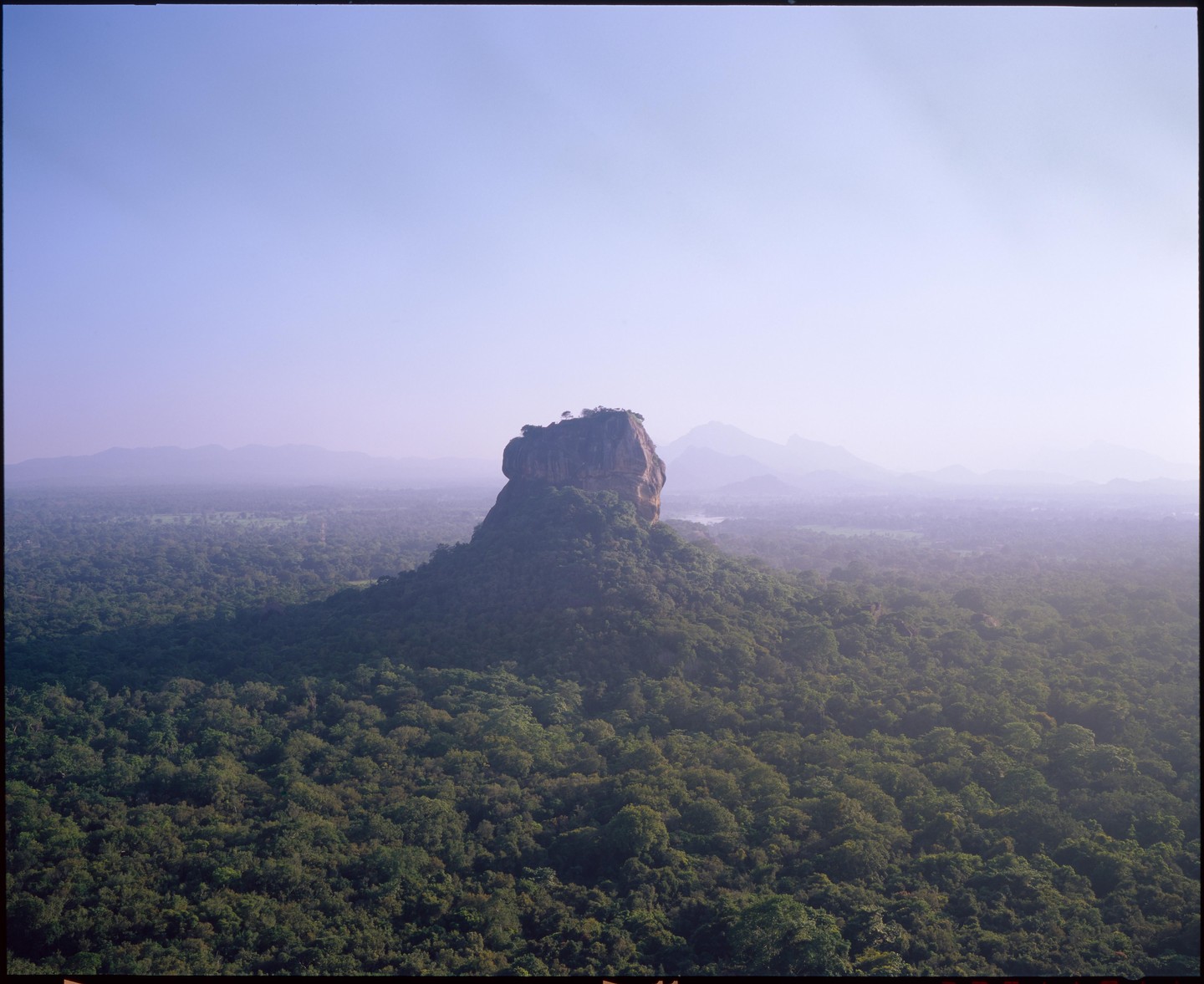 A large rock formation covered in trees rises from a dense forest under a clear sky.