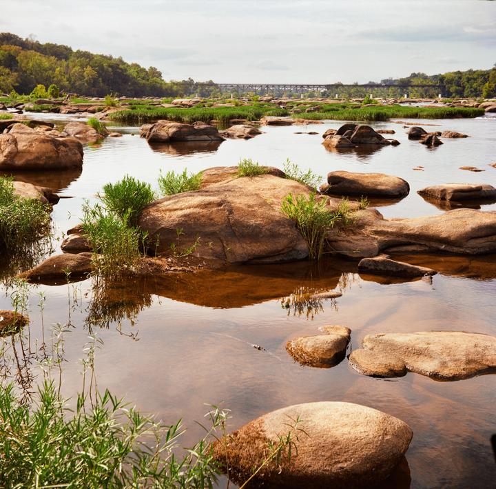A river with many large rocks and green plants growing on them flows under a distant bridge.