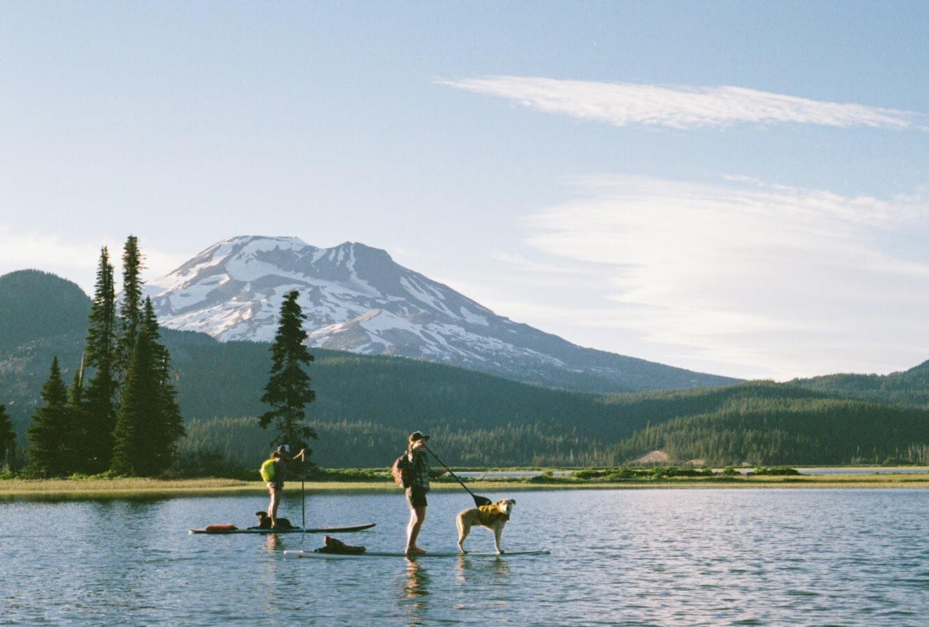 Two people and a dog paddleboard on a lake with a snow-capped mountain and forest in the background.