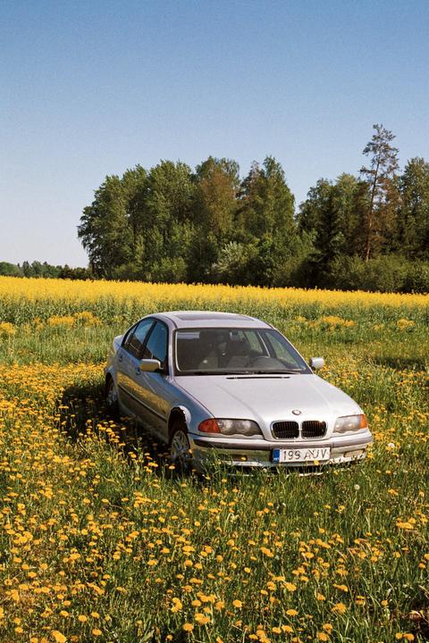 A silver car is parked in a field of yellow flowers with a forest in the background under a clear sky.