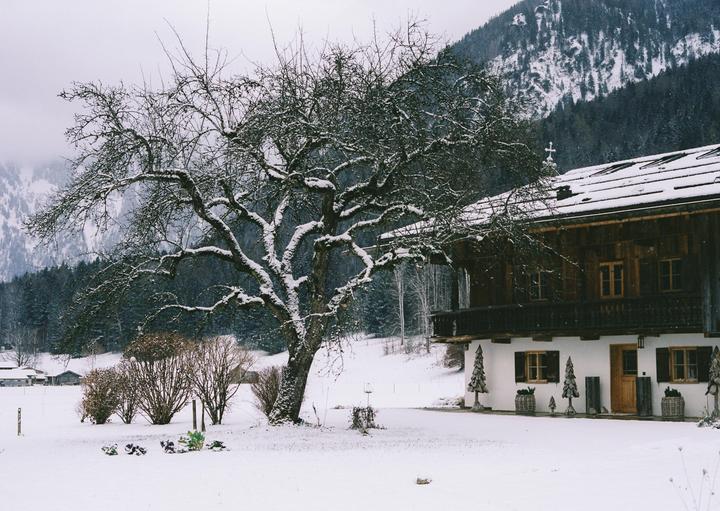 A snow-covered tree stands in front of a house with a mountain in the background.