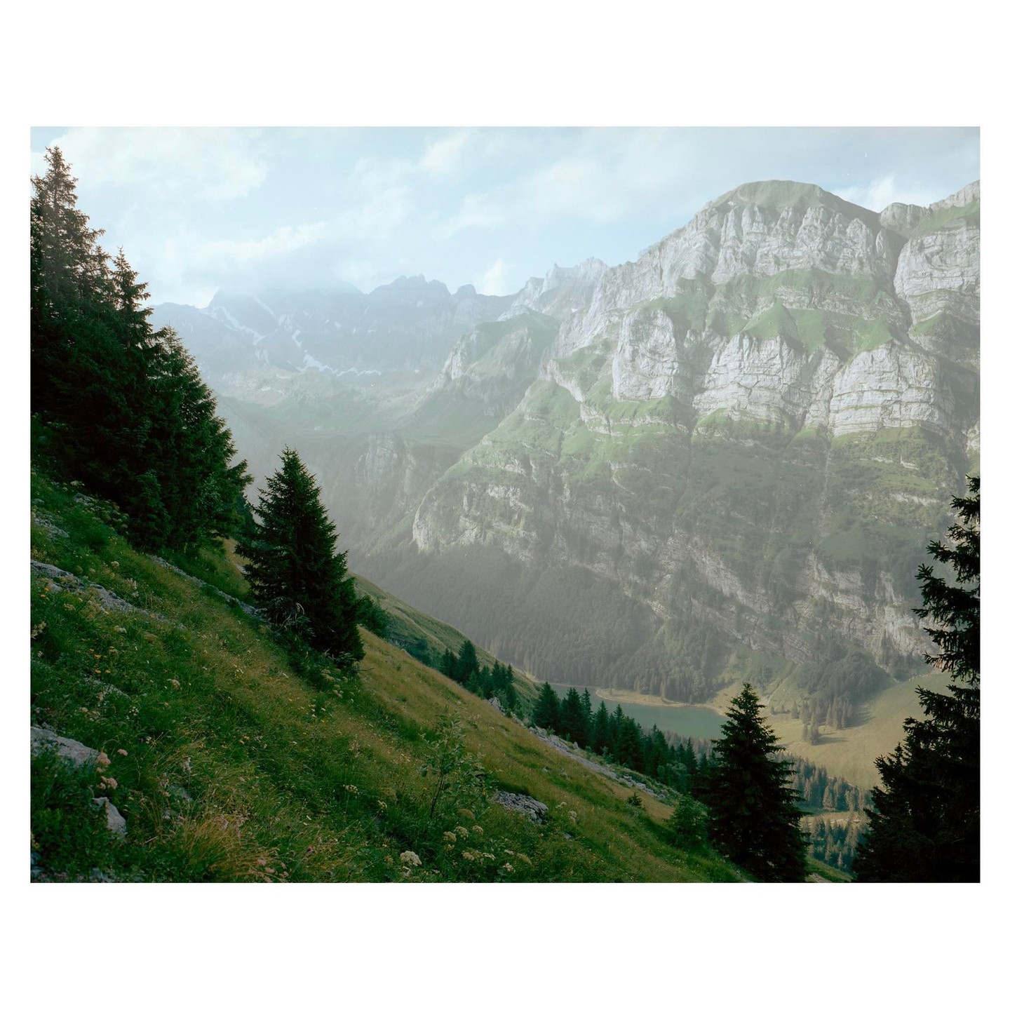 A steep, grassy hillside with scattered evergreen trees overlooks a valley with a lake and towering mountains in the distance.