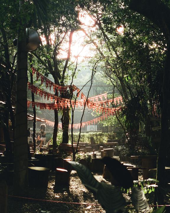 Sunlight streams through trees and checkered bunting over a park with tree stump seating and a basketball hoop in the distance.