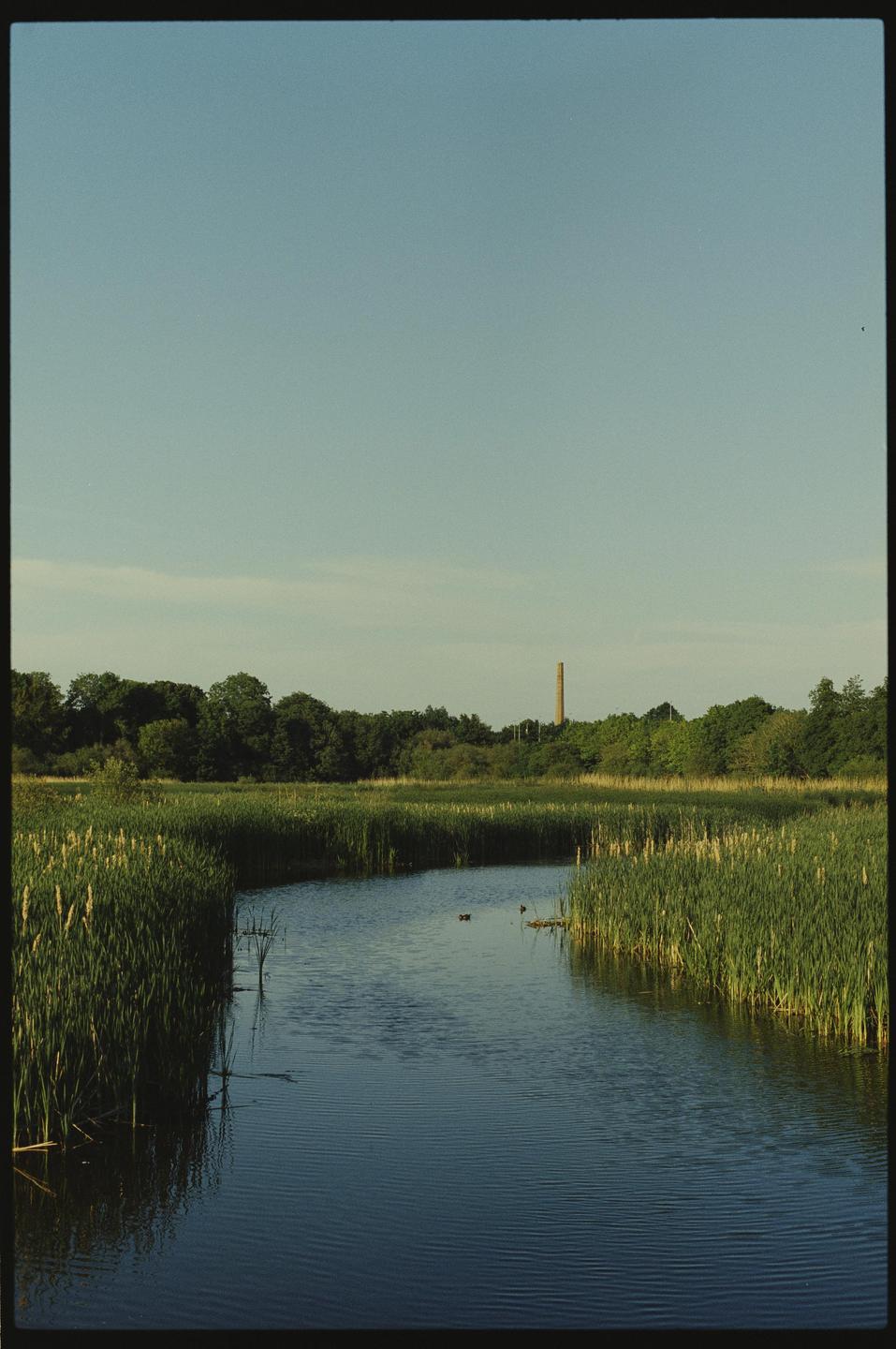 A narrow body of water with tall reeds on both sides leads to a distant forest and a tall chimney.