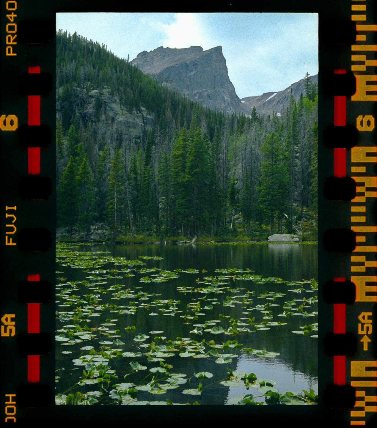 A lake with lily pads is surrounded by a forest and mountains under a bright sky.
