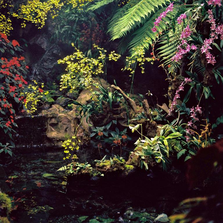 A variety of colorful flowers and green plants grow around a small pond.