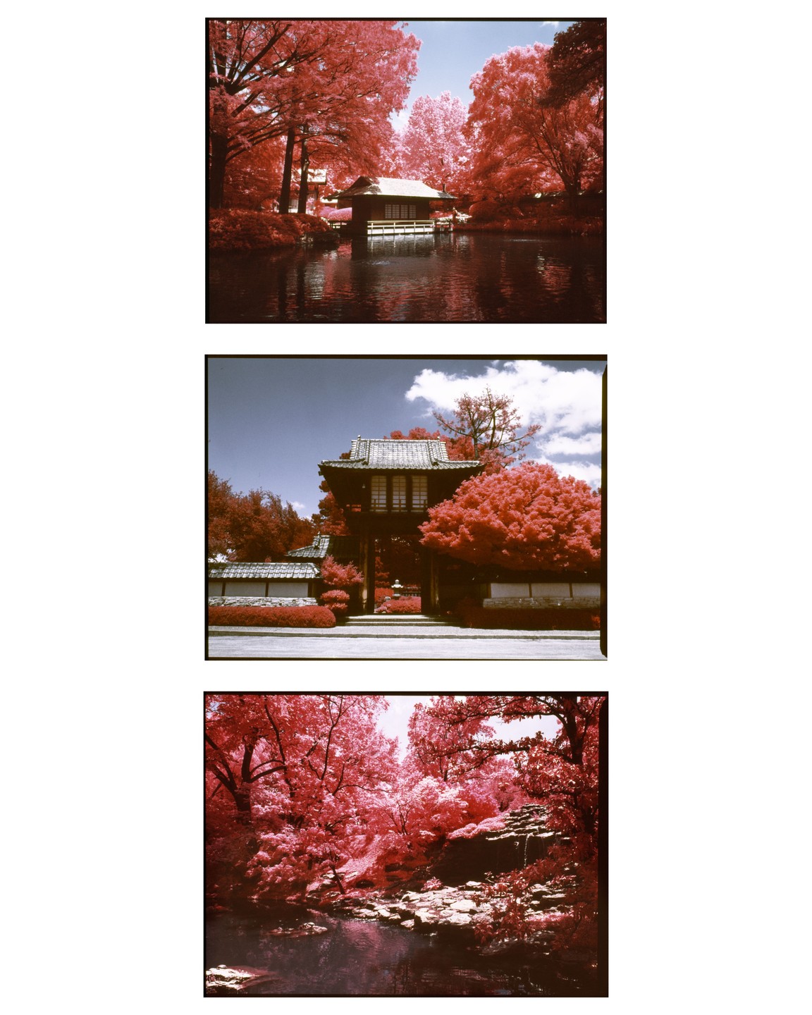 Three infrared photographs show a Japanese garden with a traditional building on a pond, a gate, and a stream with vibrant red foliage.