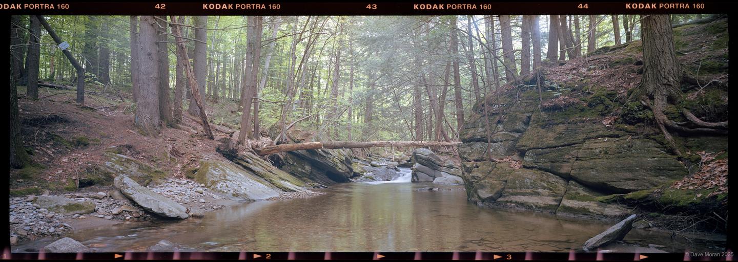 A fallen tree trunk bridges a narrow stream flowing through a rocky, tree-lined gorge.