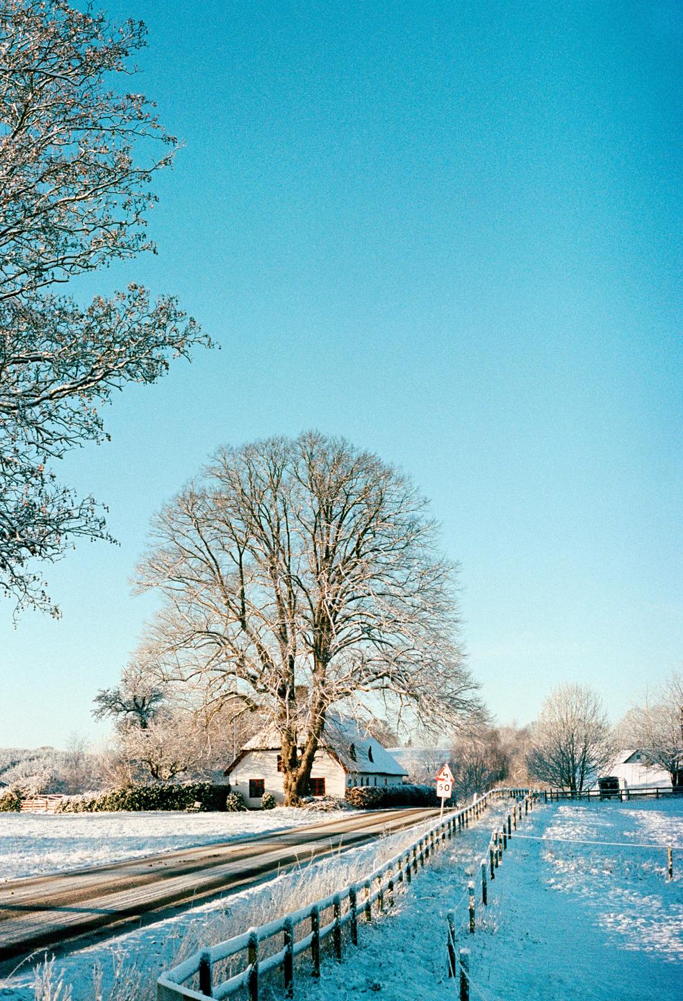 A snow-covered road leads past a white house with a large bare tree in front of it under a clear blue sky.