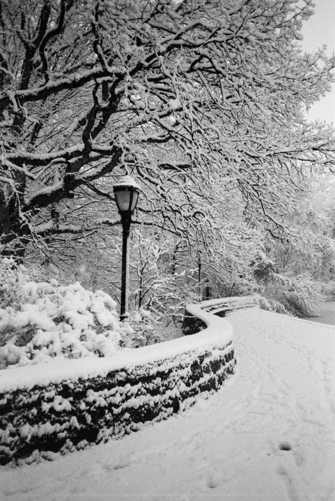 A snow-covered path with a stone wall and a lamppost curves through a park with trees laden with snow.