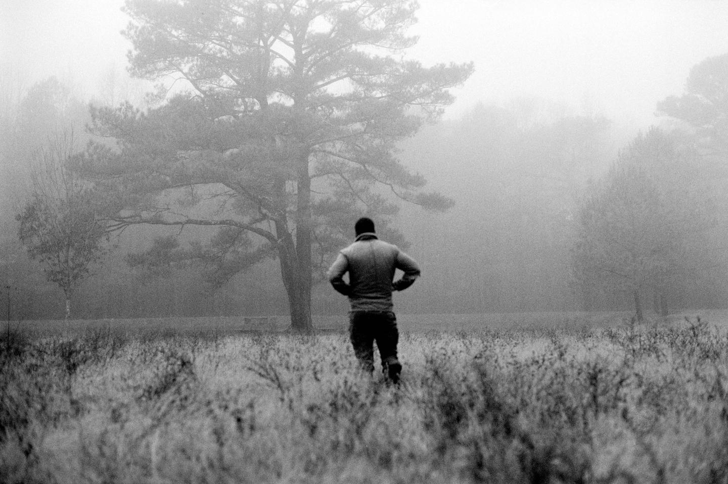 A man stands in a field of tall grass, facing away from the viewer, with a large tree and fog in the background.