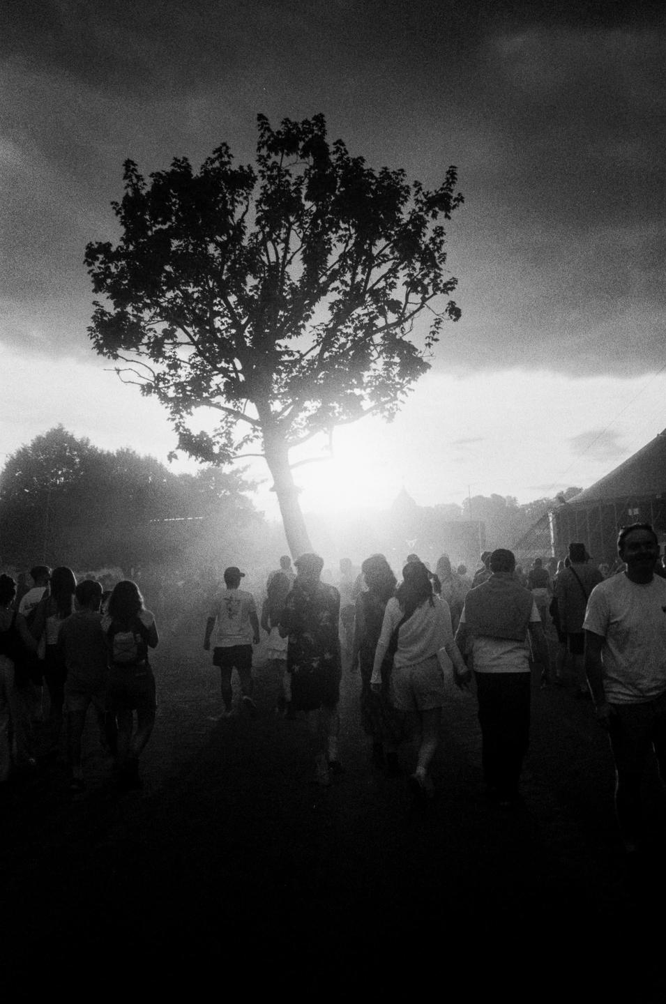 A crowd of people walks towards a bright light source behind a silhouetted tree under a cloudy sky.