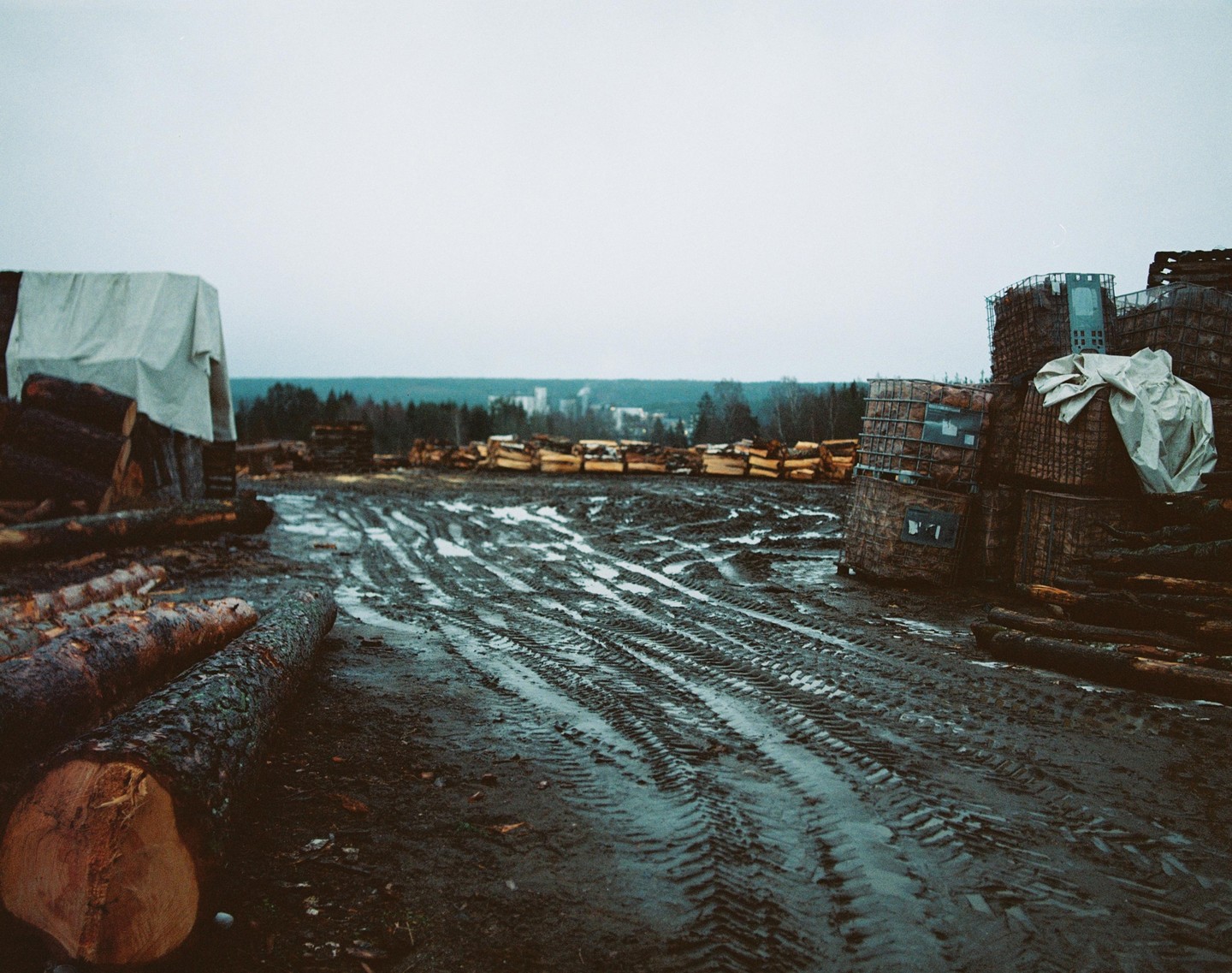 A muddy logging area with tire tracks leads towards a distant forest and buildings under an overcast sky.