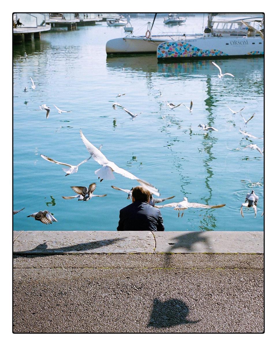 A man sits by the water surrounded by many flying birds, with boats docked in the background.