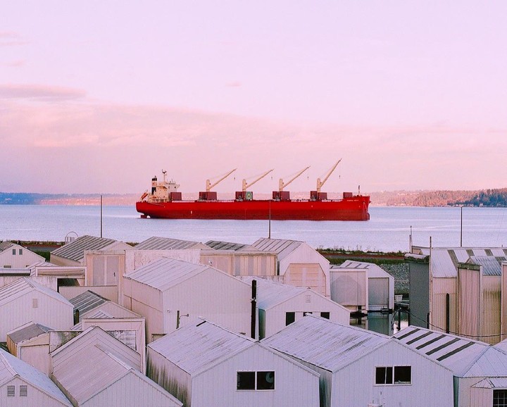 A large red cargo ship with cranes is visible on the water behind a collection of white industrial buildings.