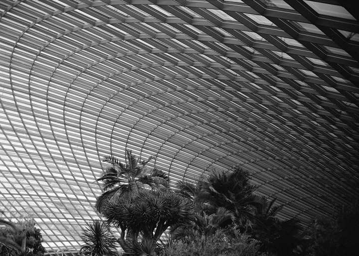 Palm trees and other plants are visible under a large, curved glass and metal roof structure.