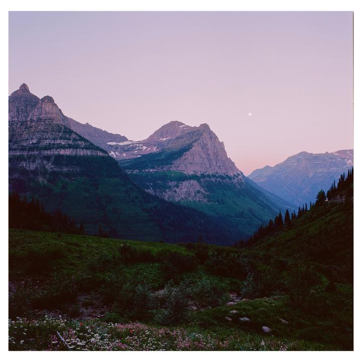 A full moon hangs in a pink sky over a mountain valley with wildflowers in the foreground.
