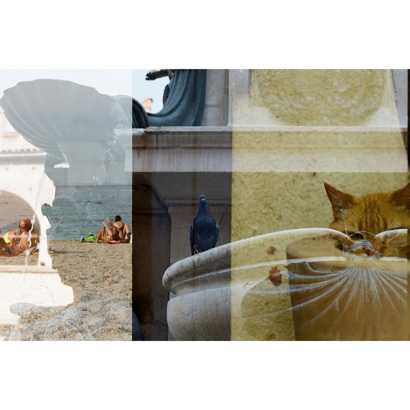 A double exposure shows a pigeon on a stone fountain, a cat behind another fountain, and two people on a beach.